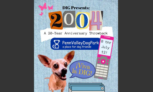 ../assets/images/2024/digs_20th_anniversary/digs_20th_anniversary_party.jpg