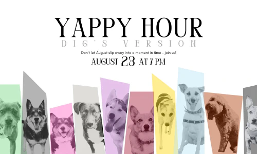 ../assets/images/2024/yappy_hour.jpg